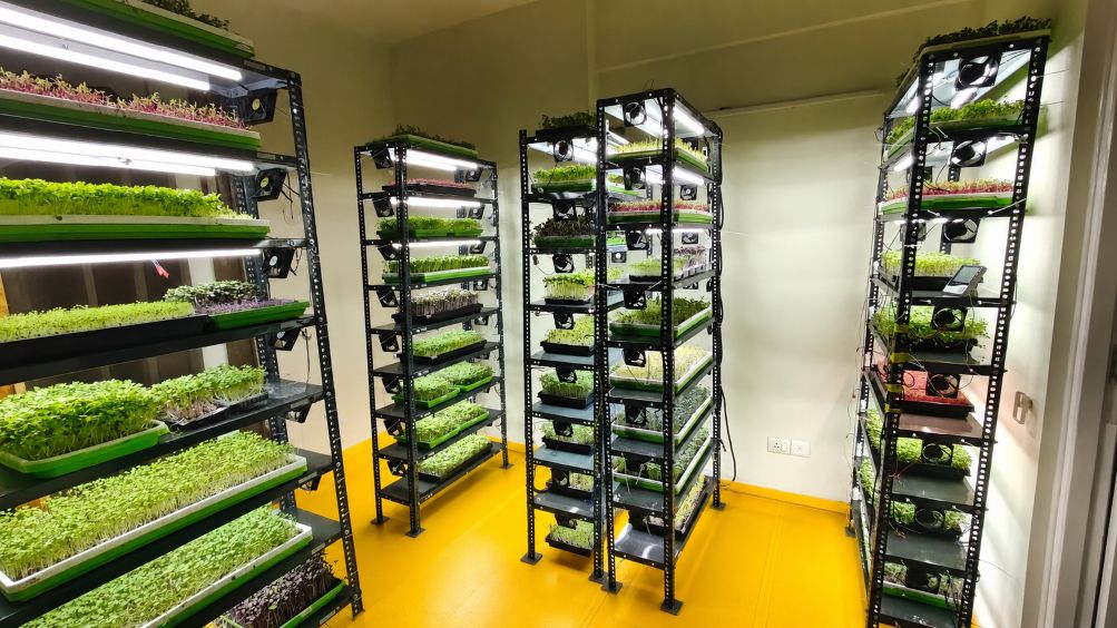 image showing cultivation